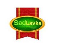 Sadlavka
