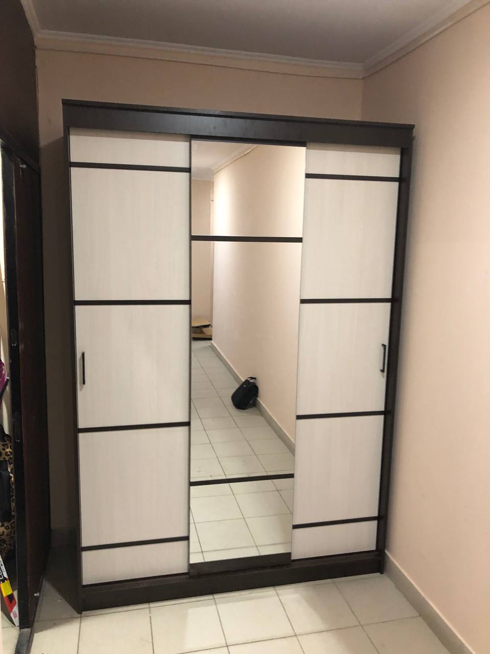 Шкаф-купе трехдверный Арника Карелия