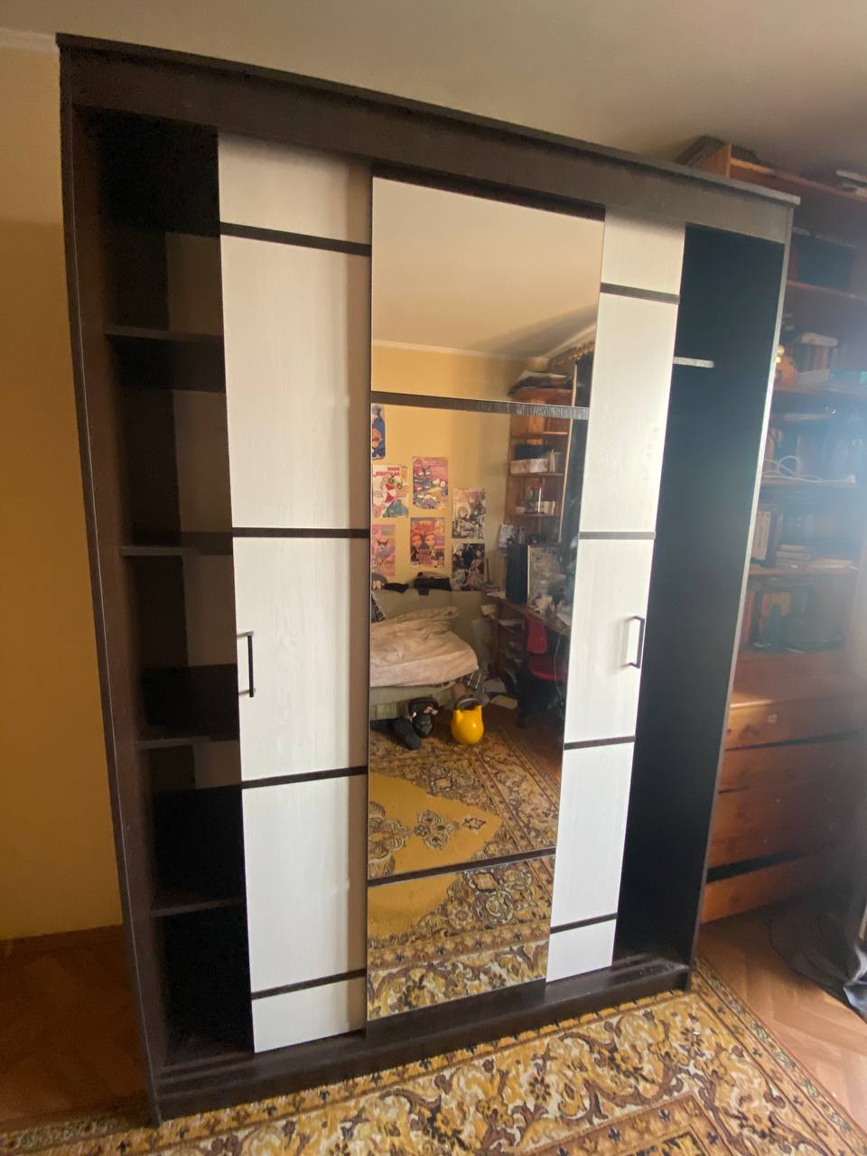 Шкаф-купе трехдверный Арника Карелия