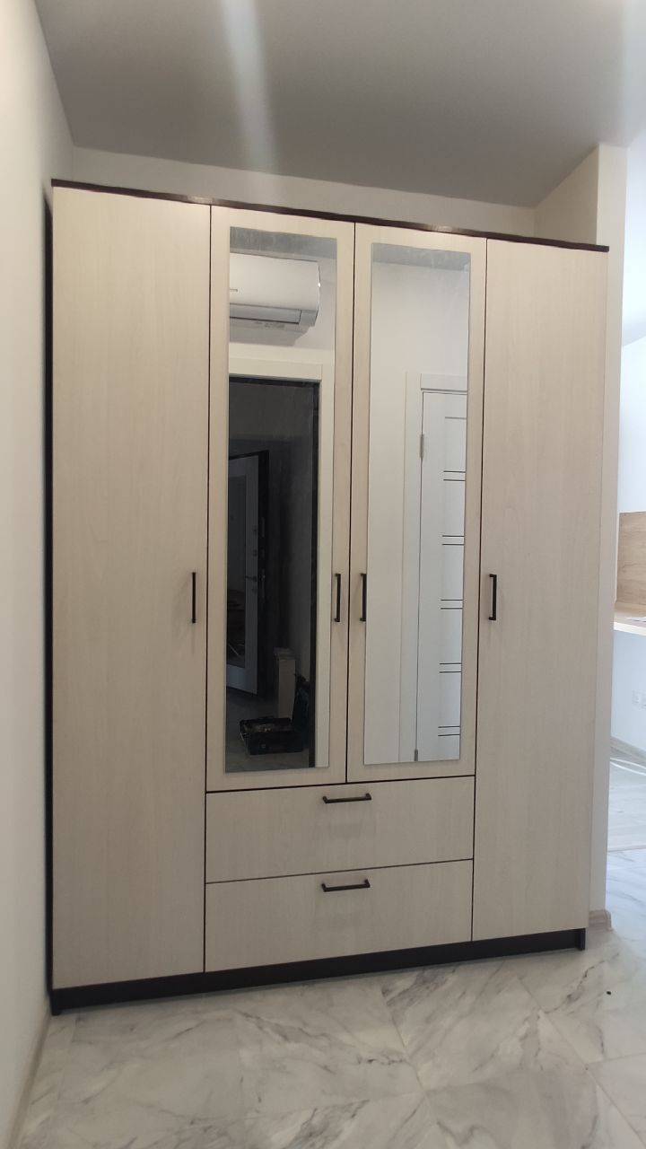 Шкаф для одежды Арника Виста 1