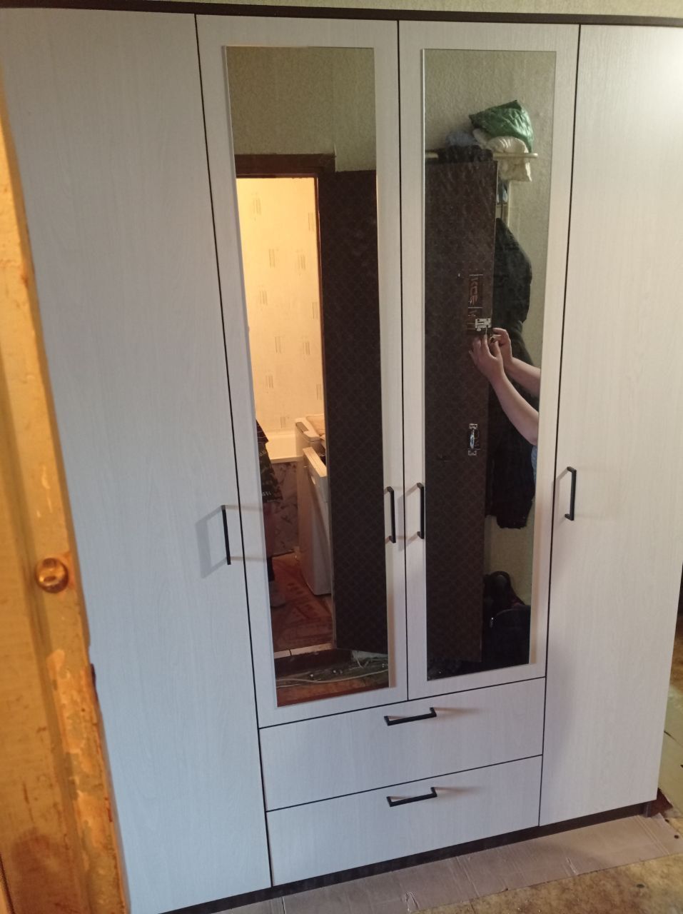 Шкаф для одежды Арника Виста 1