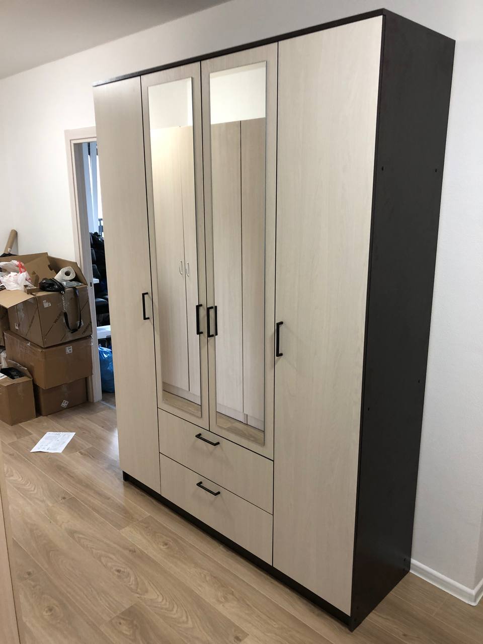 Шкаф для одежды Арника Виста 1