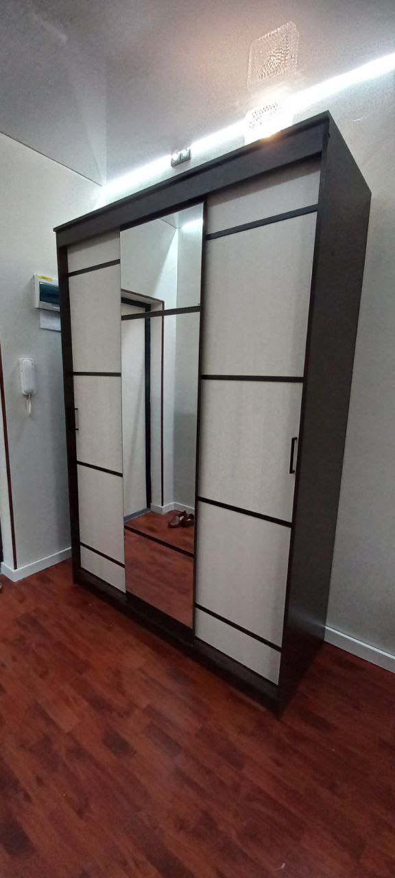 Шкаф-купе трехдверный Арника Карелия