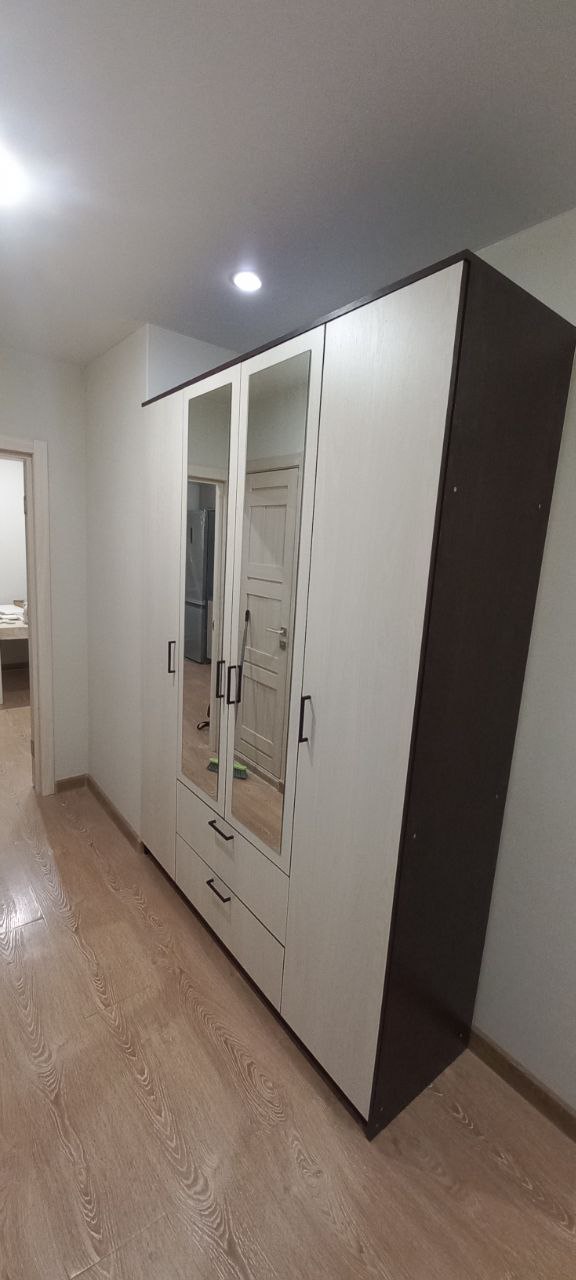 Шкаф для одежды Арника Виста 1