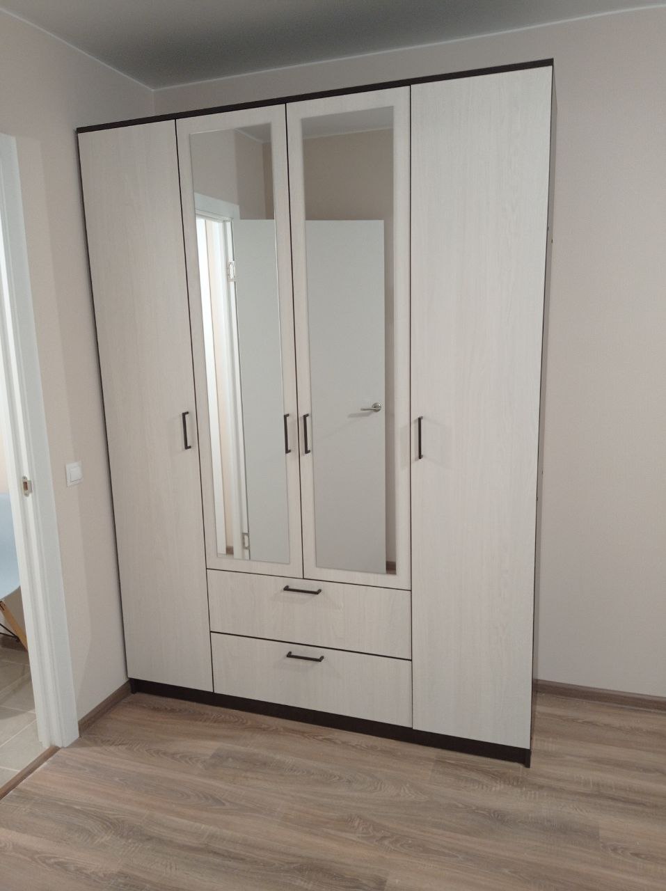 Шкаф для одежды Арника Виста 1