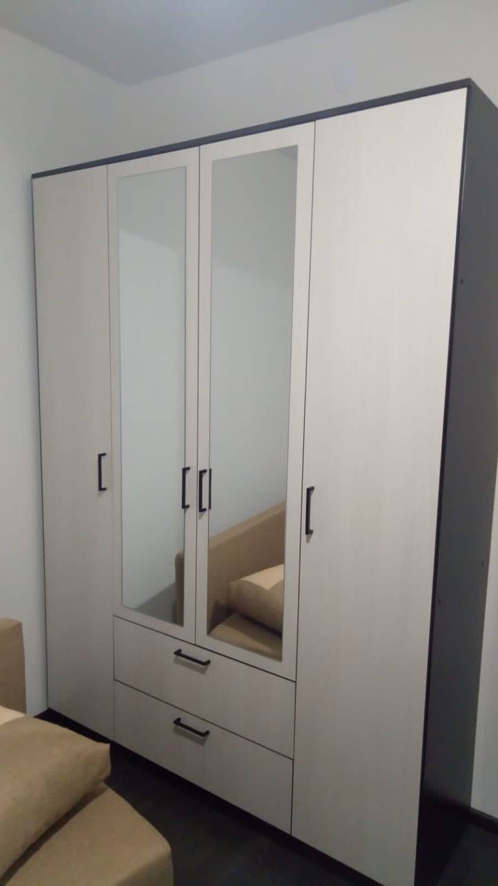 Шкаф для одежды Арника Виста 1