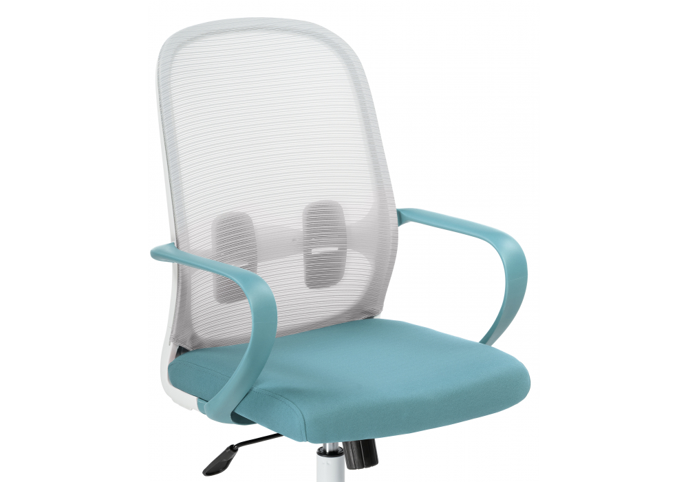 Компьютерное кресло Woodville Bust