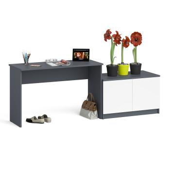 Графит/белый