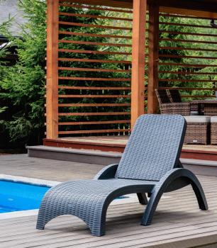 Пластиковый шезлонг ROYAL FAMILY MARK