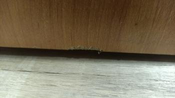 Комод Верже К-1(1) Бук (У)