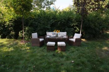 Обеденная группа ROYAL FAMILY Zoya