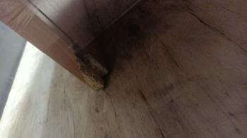 Комод Верже К-1(1) Бук (У)