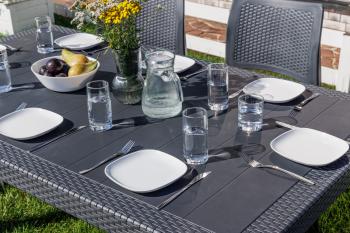 Обеденный комплект ROYAL FAMILY JULY L