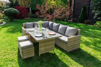 Обеденная группа ROYAL FAMILY ZORRO