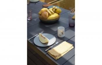 Стол металлический раздвижной ReeHouse Nardi Rio