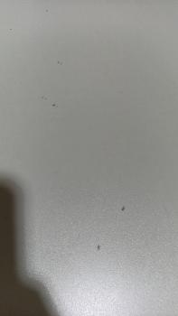 Шкаф 4-х створчатый Камелия Белый (У)