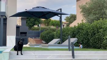 Зонт профессиональный ReeHouse Astro Carbon 2900х2900