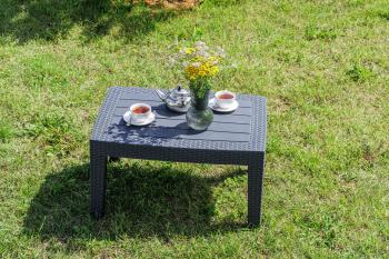 Лаунж стол ROYAL FAMILY LANA