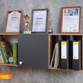 Шкаф навесной Глазов-мебель Лойс 88