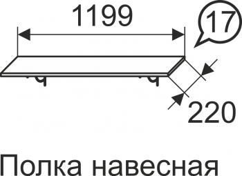 Полка навесная Арника Афродита 17