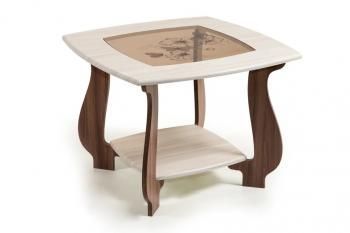 ШАМПАНЬ/ШИМО ЯСЕНЬ ТЕМН, Р-2