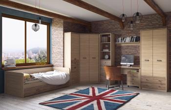 Шкаф Анрэкс DIESEL 2D1S/D1