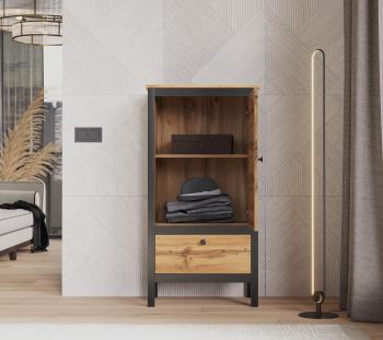 Шкаф БРВ Мебель LOFT REG1D1S/60