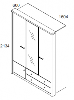 Шкаф Анрэкс 3DG2S Z JAGGER