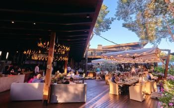 Зонт профессиональный ReeHouse Palladio Braccio