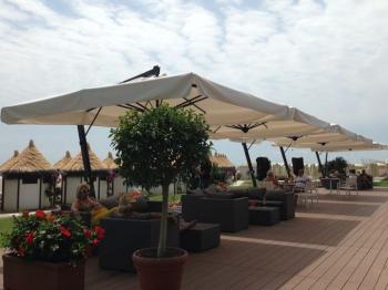 Зонт профессиональный ReeHouse Leonardo Braccio