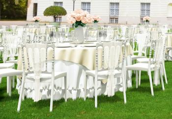 Стул пластиковый ReeHouse Napoleon