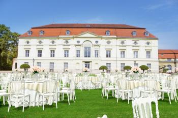 Стул пластиковый ReeHouse Napoleon