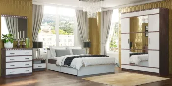 Шкаф купе 3-х дверный FANT Ольга 13 ЛДСП