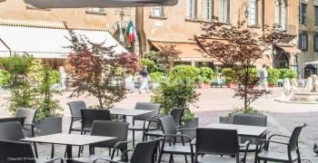 Кресло Pedrali Ara пластиковое