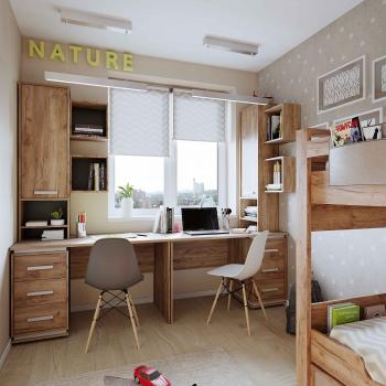 Стол письменный Глазов-мебель Nature 84