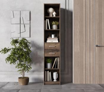 Шкаф БРВ Мебель НЕПО REG2S/40