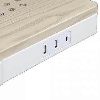 Стол с электроприводом LuxAlto LA-T33-E4A 120*60 см