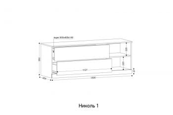 Шкаф Ивару Николь-2