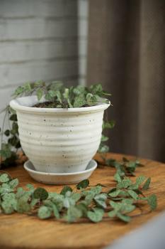 Стол журнальный Калифорния РИД 430