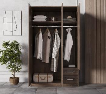 Шкаф БРВ Мебель НЕПО SZF3D2S