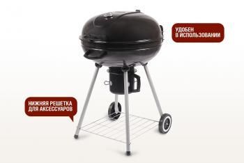 Угольный гриль Start grill BISON