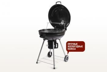 Угольный гриль Start grill BISON