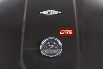 Угольный гриль Start grill BISON