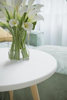 Стол журнальный Калифорния Бекс 450