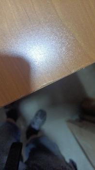 Шкаф низкий двухдверный ОН1 (У)