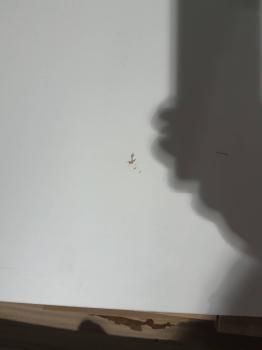 Настенное зеркало ПЗ-4 (У)