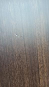 Стол журнальный Маэстро + стекло СЖС-02 Орех 3 (У)