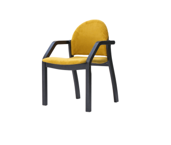 Чёрный/Жёлтый