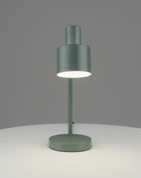 Лампа настольная Moderli V11265-1T Artis