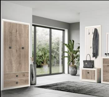 Шкаф БРВ Мебель КОЕН SZF2D2S